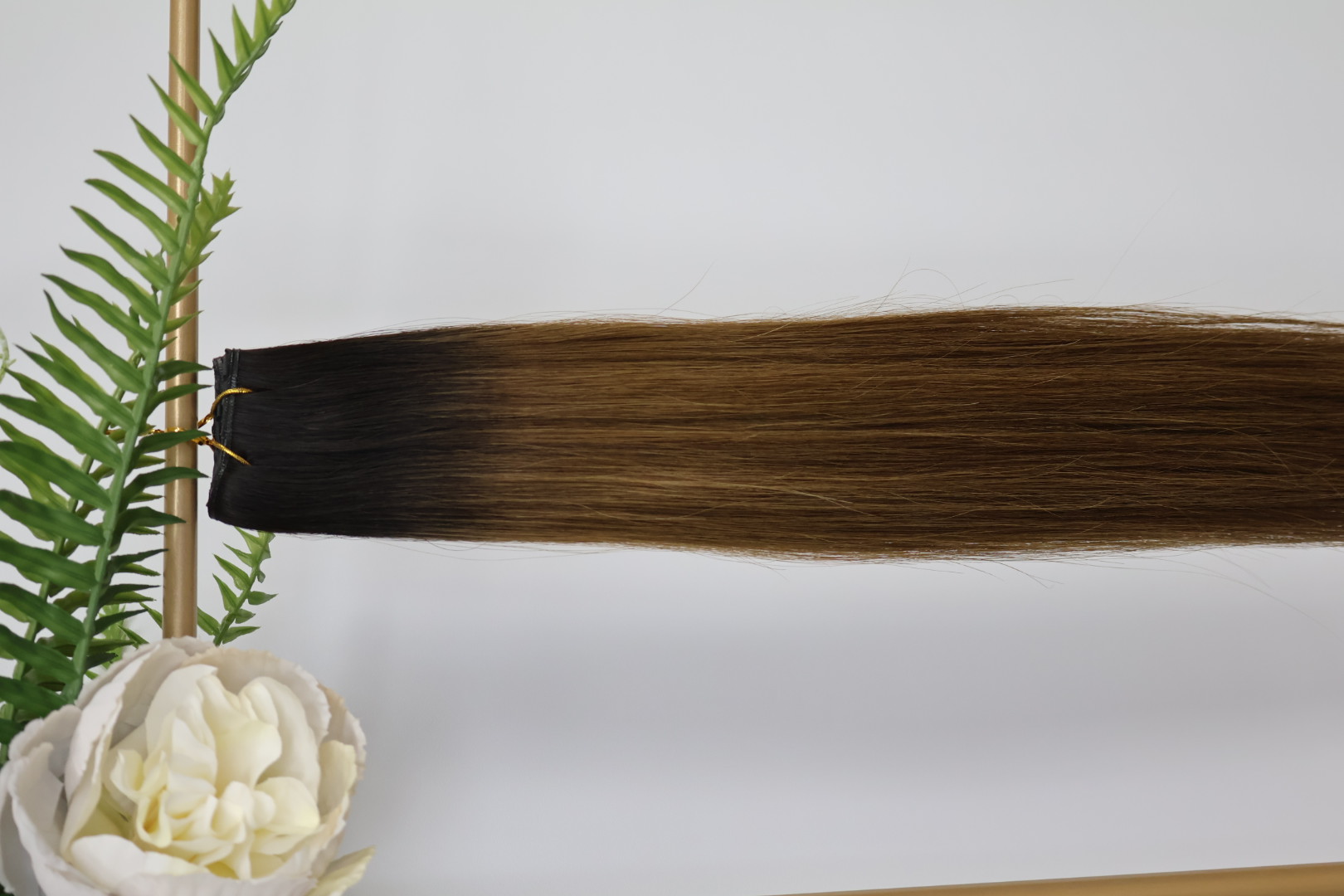 Aurora · Hair photo